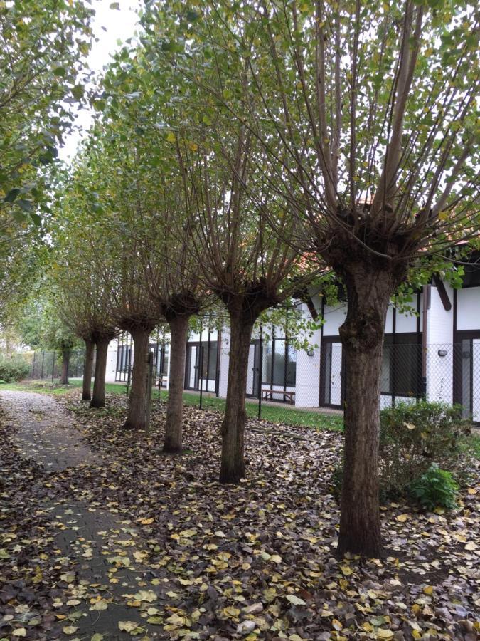 Vakantiewoning Kaviaar Миделкерк Экстерьер фото